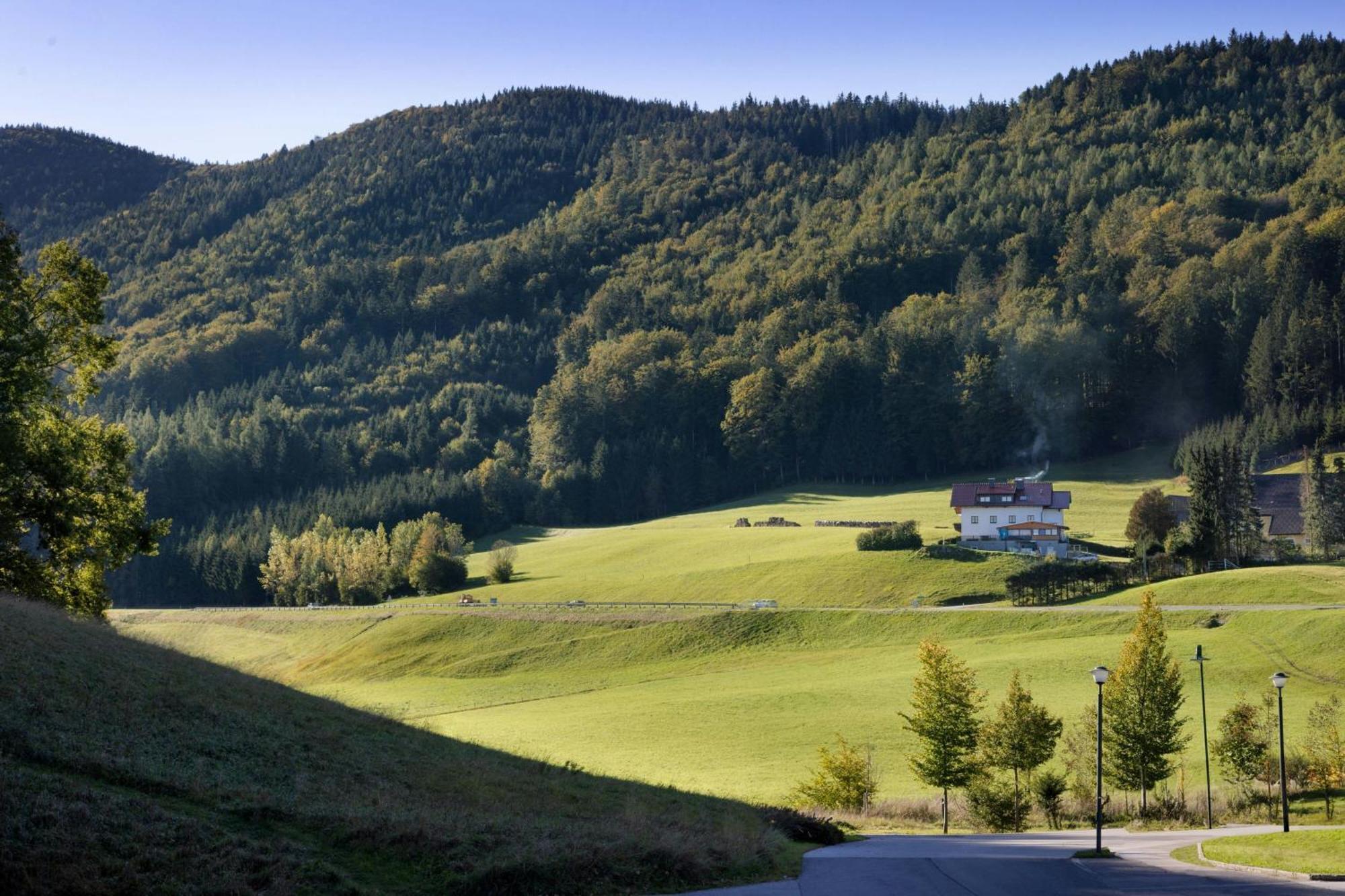 Arabella Jagdhof Resort Am Fuschlsee, A Tribute Portfolio Hotel Хоф у Зальцбурга Экстерьер фото