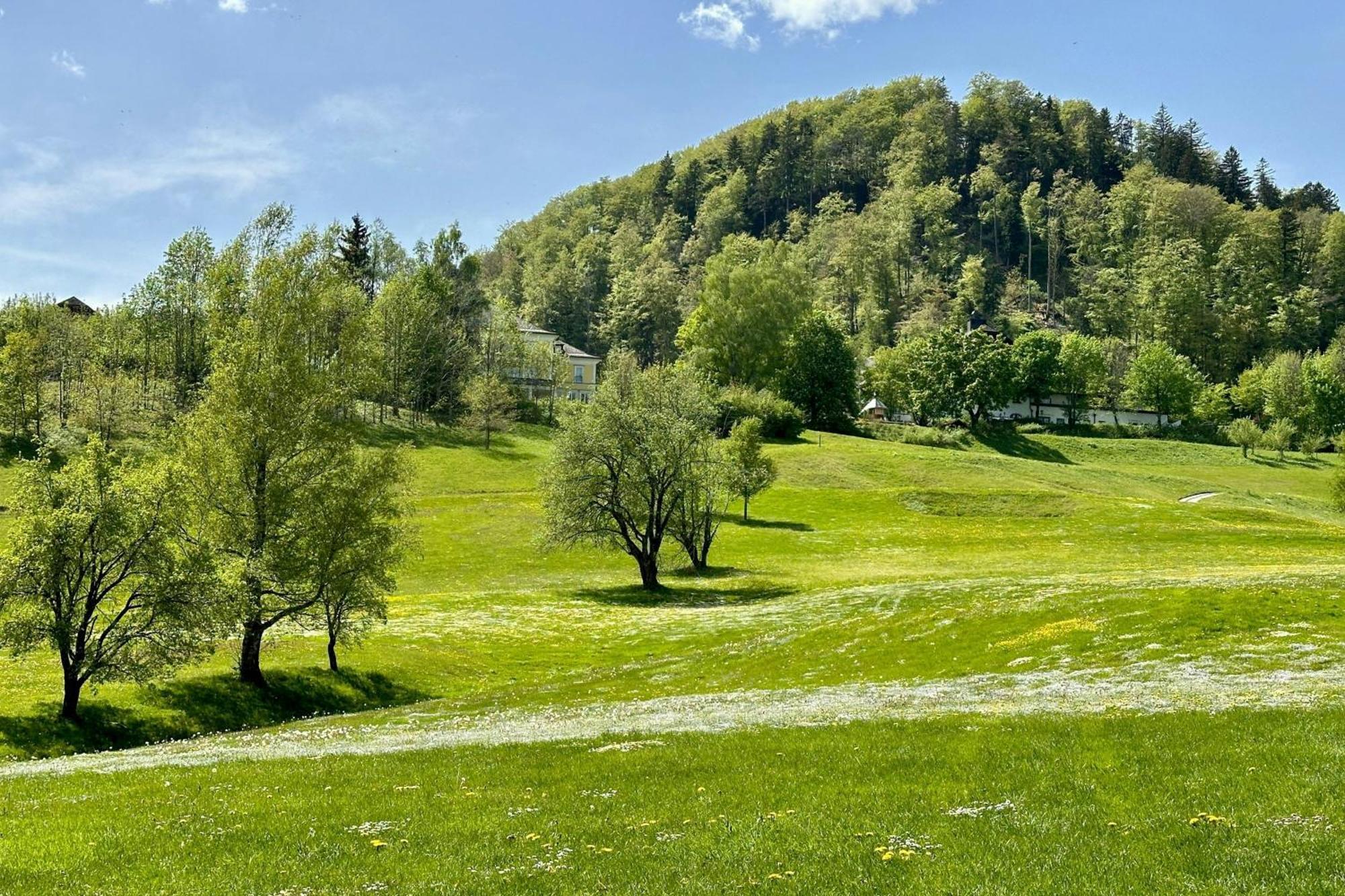 Arabella Jagdhof Resort Am Fuschlsee, A Tribute Portfolio Hotel Хоф у Зальцбурга Экстерьер фото
